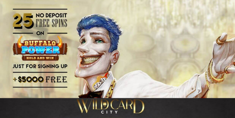 Wild Card City Casino Review 
