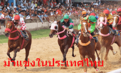 ม้าแข่งในประเทศไทย