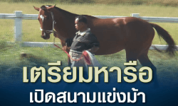 การแข่งม้าไร้การพนัน